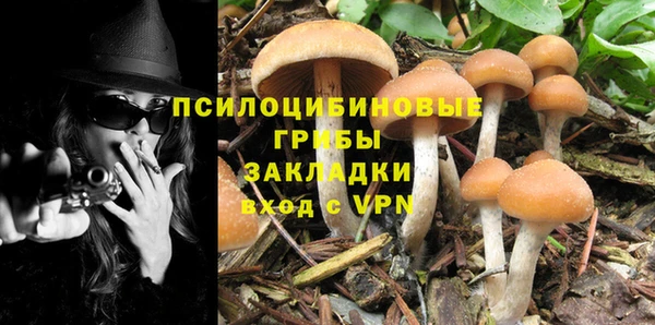 синтетический гашиш Алексин