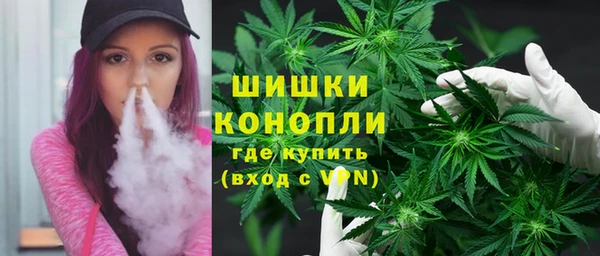 дурь Алзамай